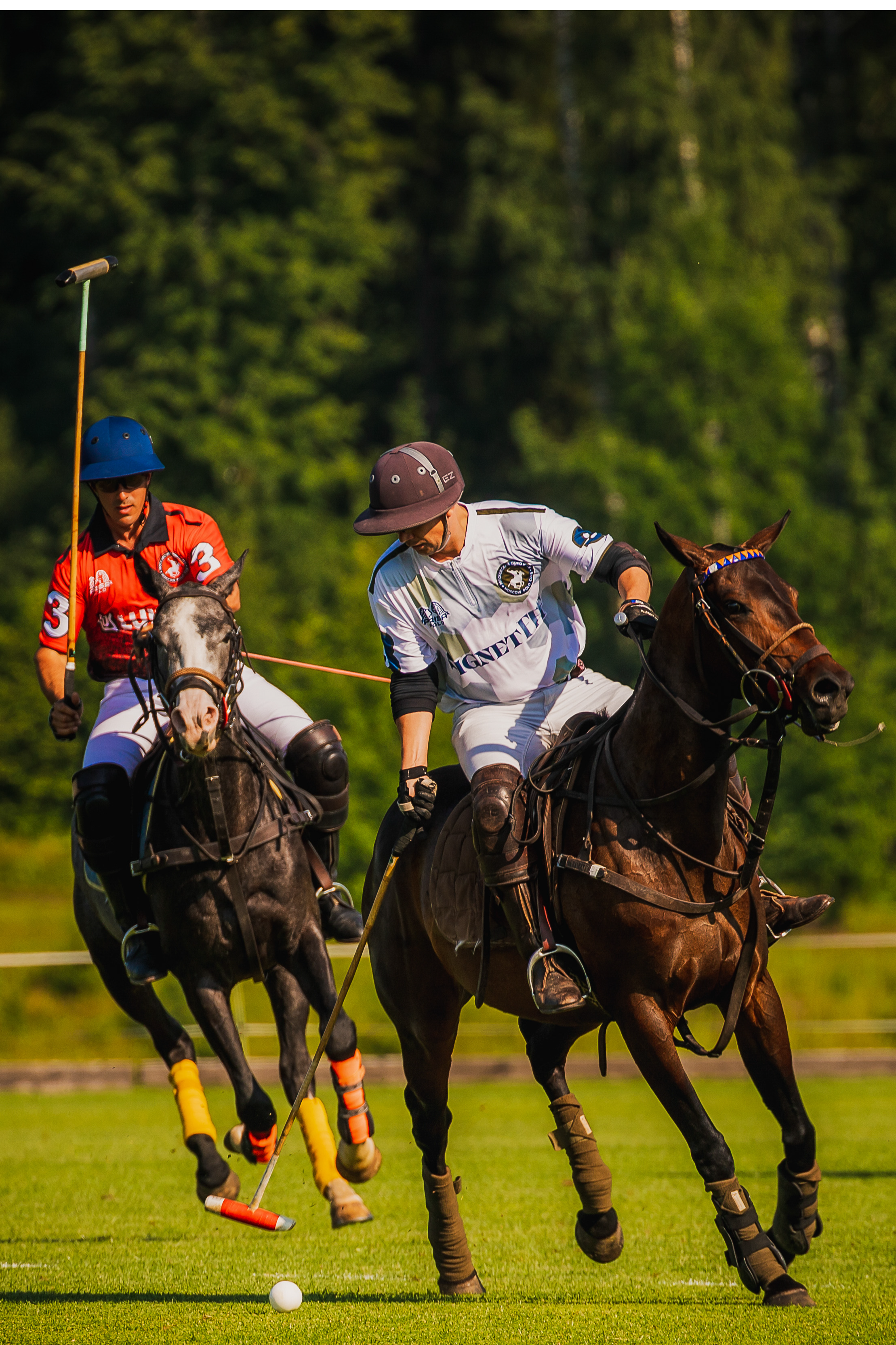 Moscow Polo Club – Московский Поло Клуб: Осенний Кубок