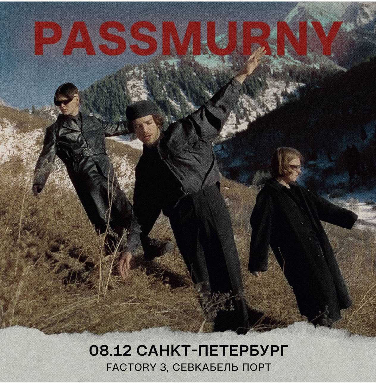 Passmurny. Сердце passmurny Speed up. Passmurny исполнитель. Passmurny концерт. Сердце passmurny текст.