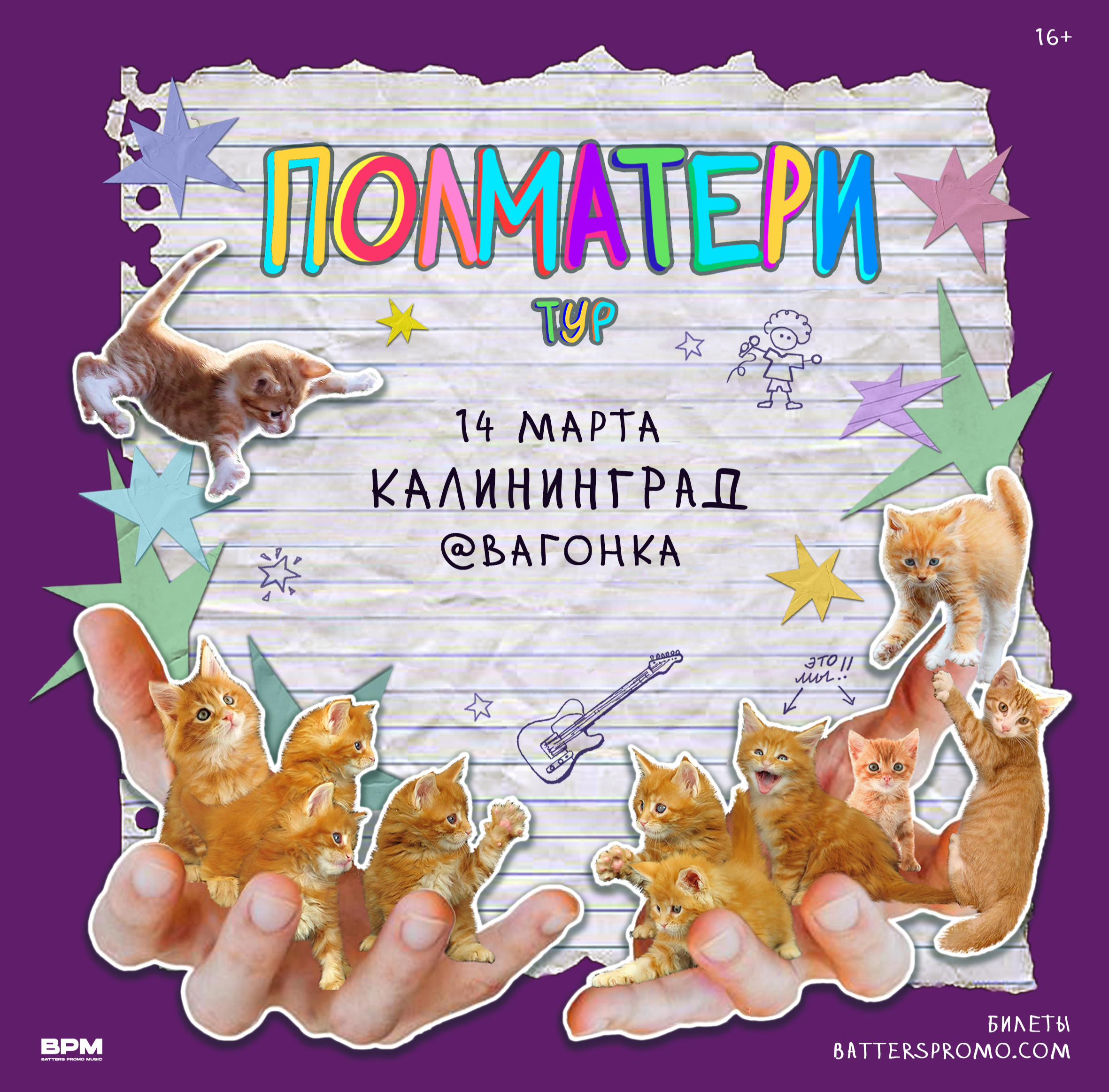 Полматери концерт. Полматери коты. Концерт Полматери афиша.