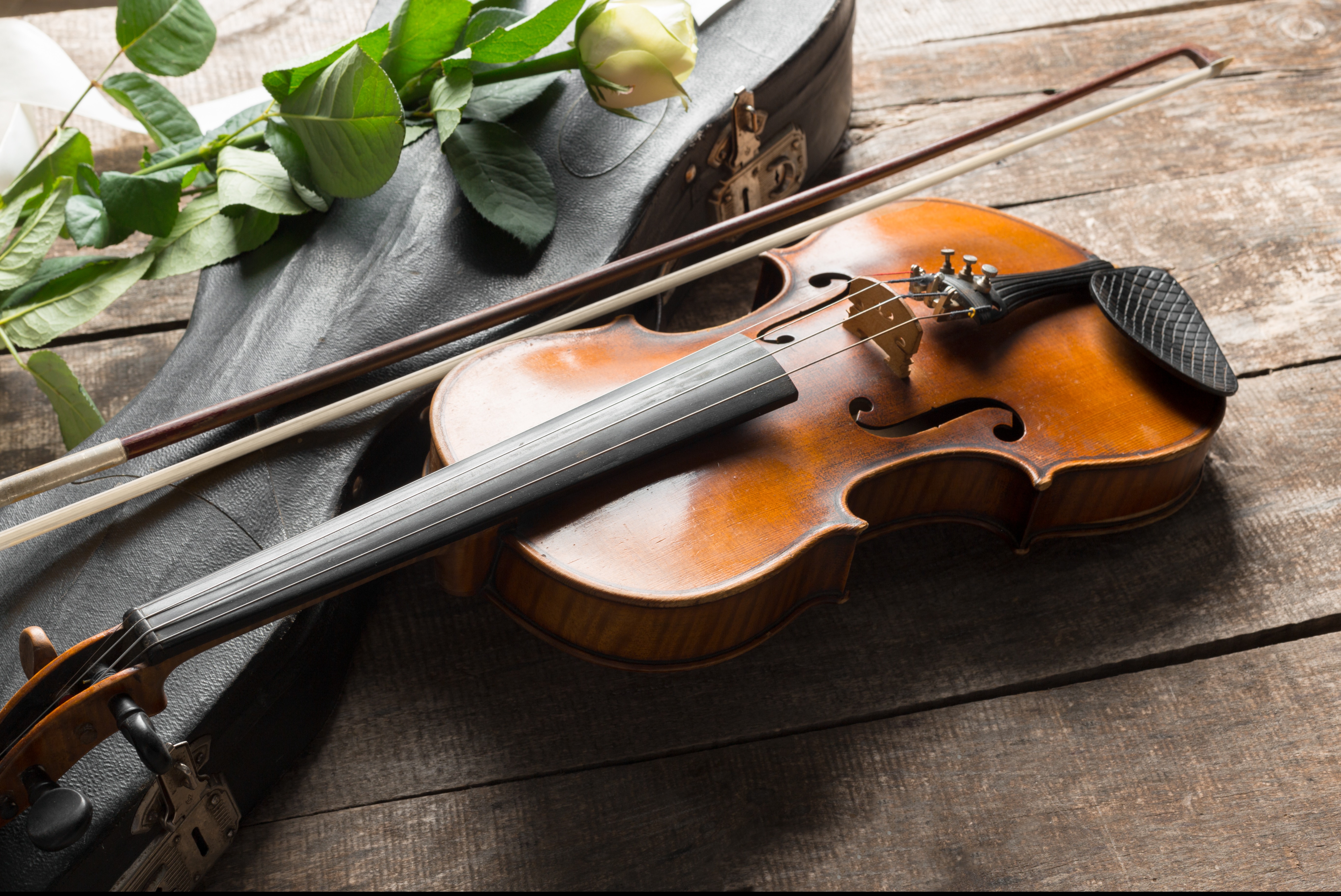 МУЗЫКА НА BЕКА : ОТ БАХА ДО РОКА