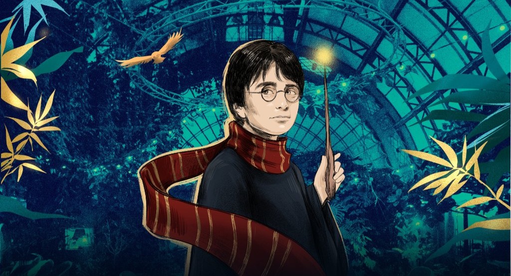 Гарри Поттер. HighTime Orchestra. Концерт в оранжерее при свечах