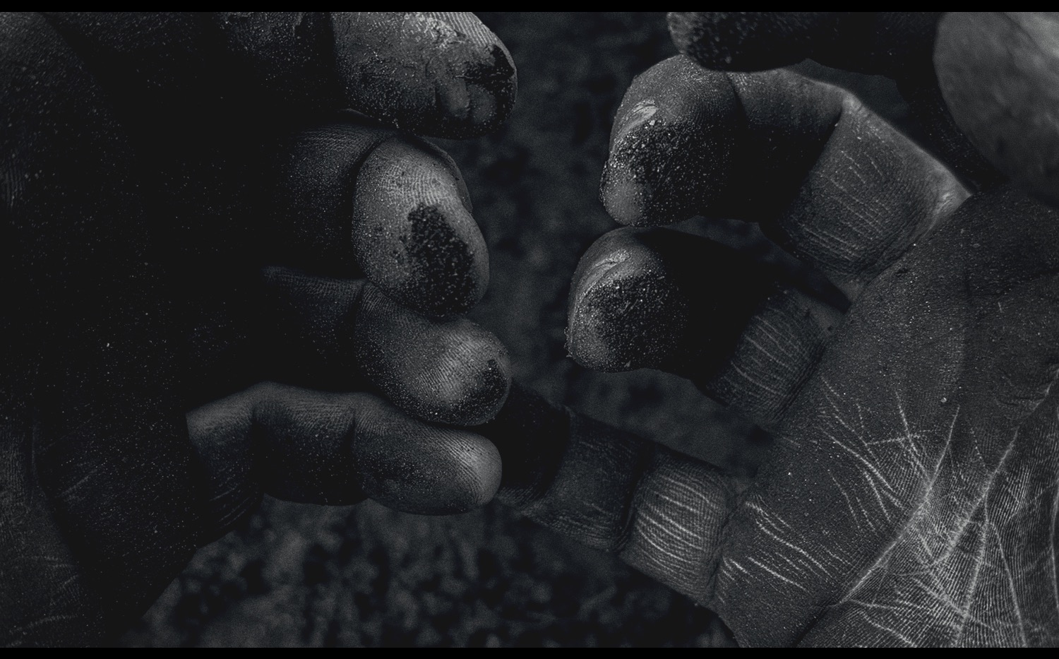 Береста, Pechora, Лiхо @Ласточка