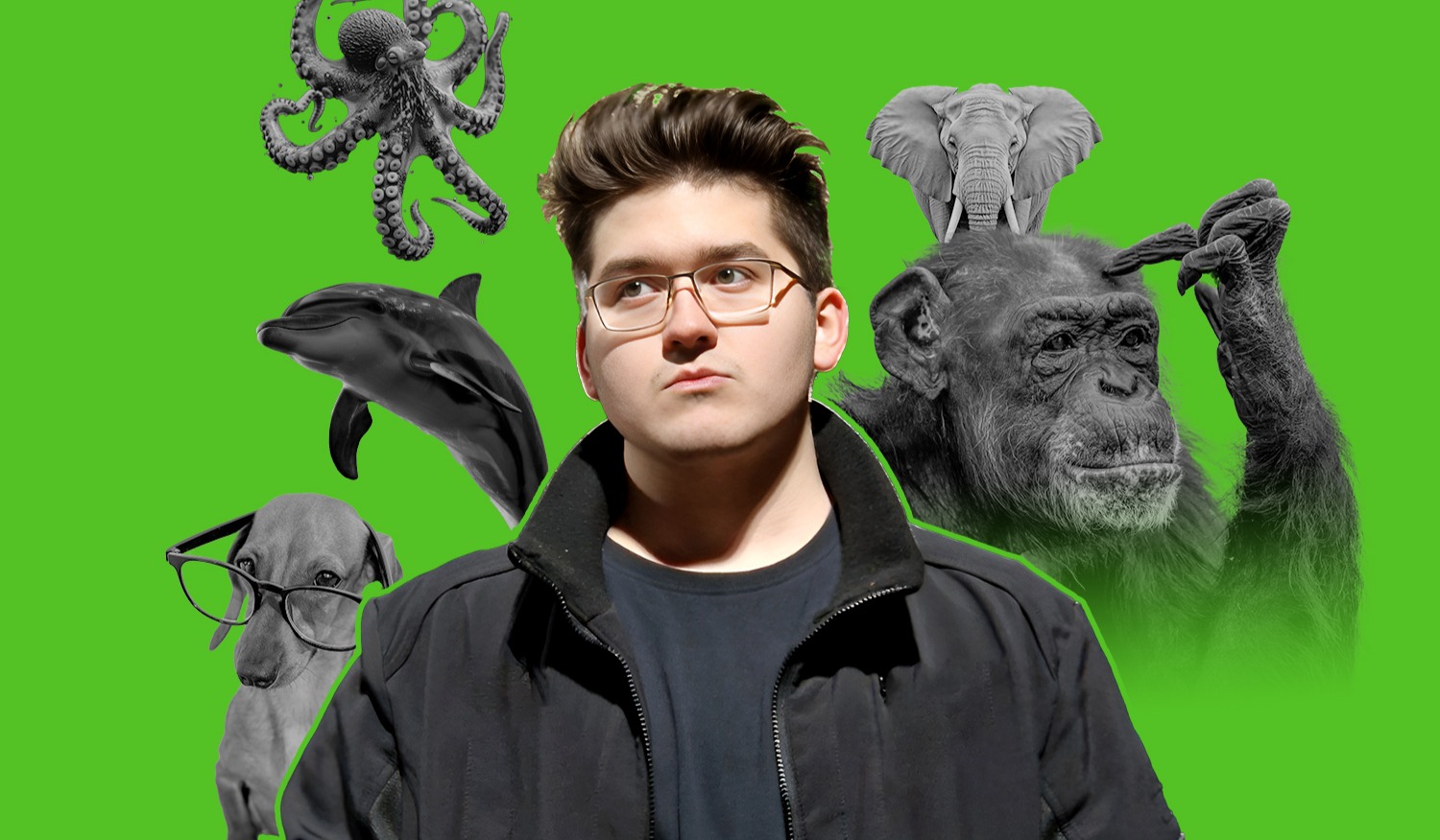 Анвар Ахметзянов. Существуют ли разумные животные?