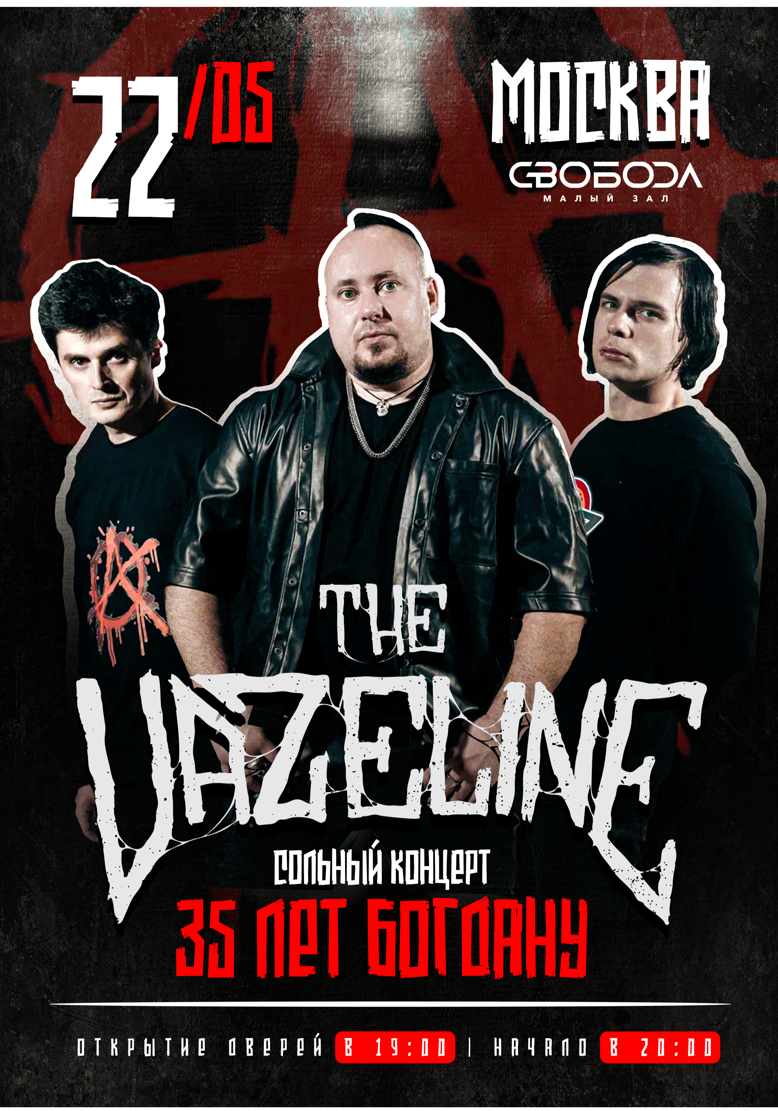 The Vazeline - сольный концерт